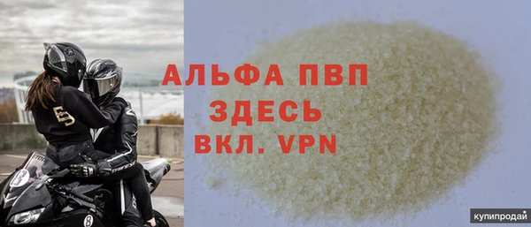 трава Корсаков