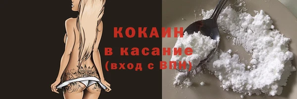 трава Корсаков
