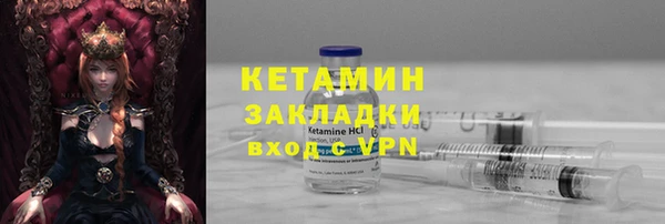 трава Корсаков