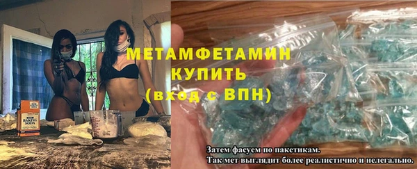 трава Корсаков