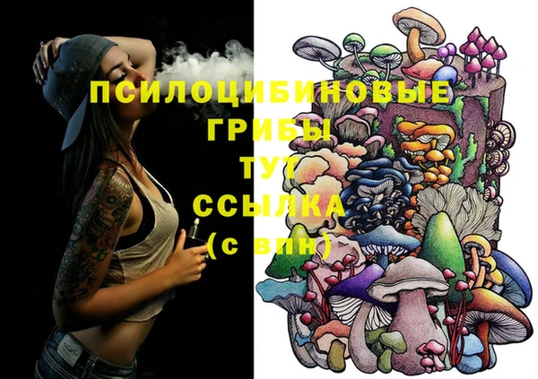 гидропоника Березники