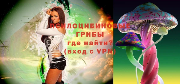 трава Корсаков