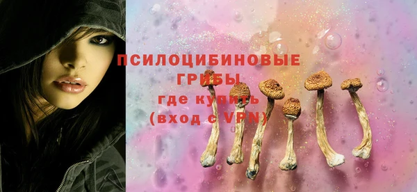 Альфа ПВП Коряжма