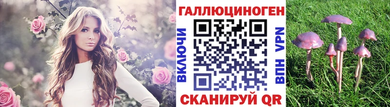 Псилоцибиновые грибы Psilocybine cubensis  Купить  Краснокаменск 
